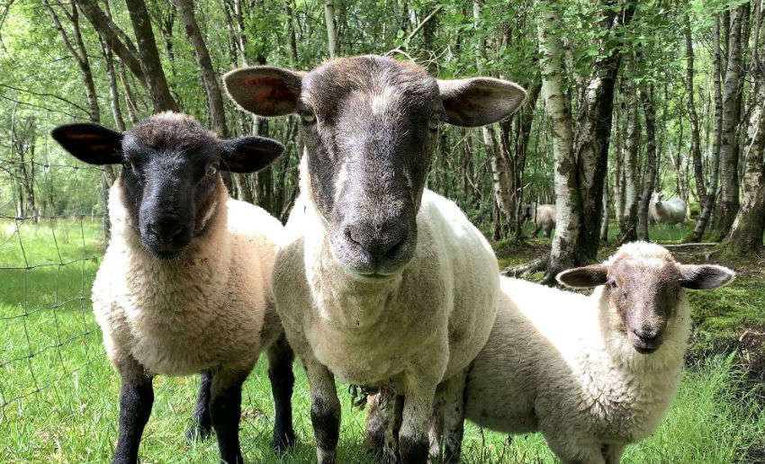 Grindr: ¿Por qué siempre debes revisar esa foto de perfil de cerca? 2