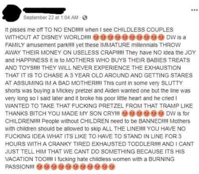 Twitter gay arrastra a una madre a exigir a Disney World que expulse a todos los adultos sin hijos 2