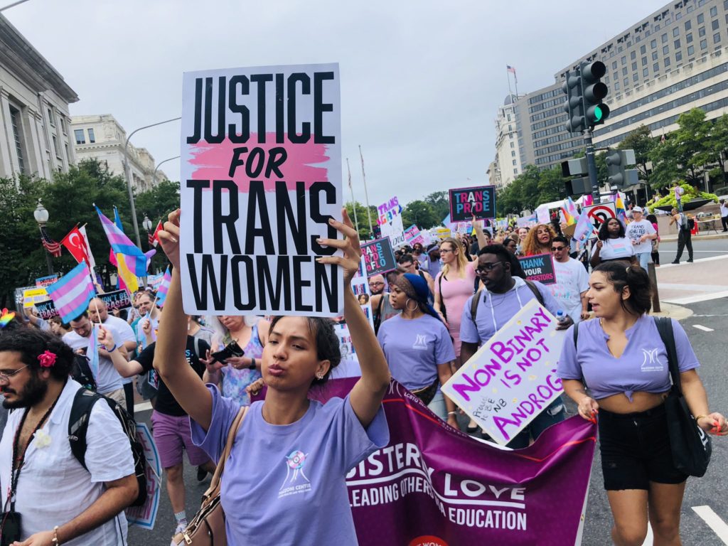 Marcha Nacional de la Visibilidad Trans