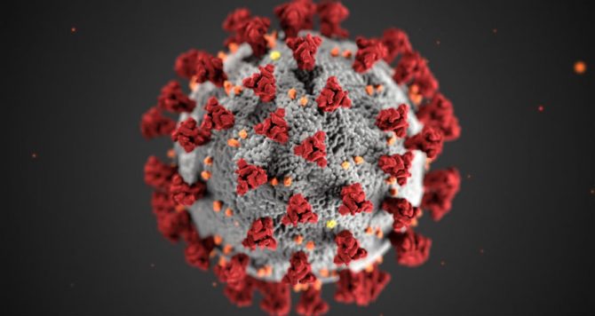 coronavirus