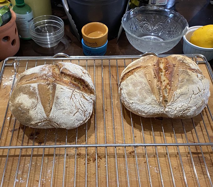 Stephen Fry comparte foto de su pan