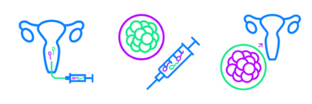 opciones para parejas lgbt opciones para parejas lgbt