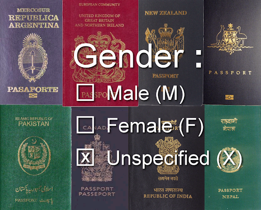 Marcadores de género 'X' en los pasaportes de las personas no binarias