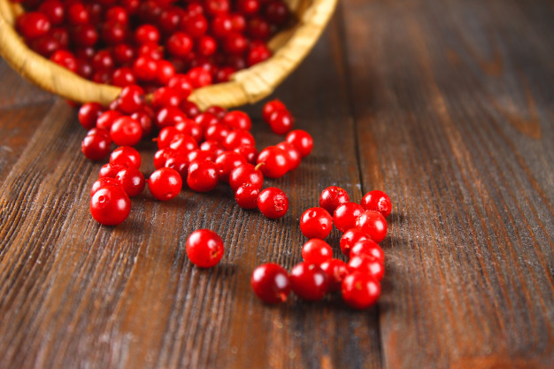 Arándano rojo: un potente alimento para la salud y la piel