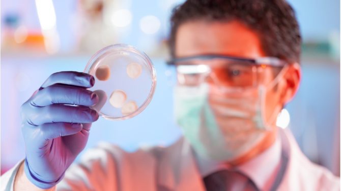 A scientist examines a petri dish for bacteria