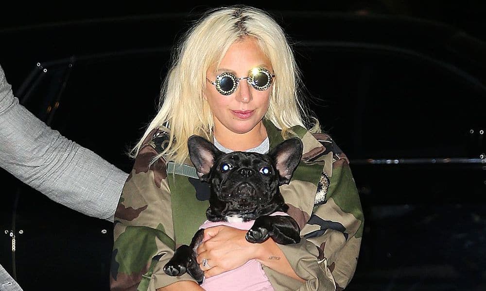 El FBI investiga si los tiradores del paseador de perros de Lady Gaga tenían 