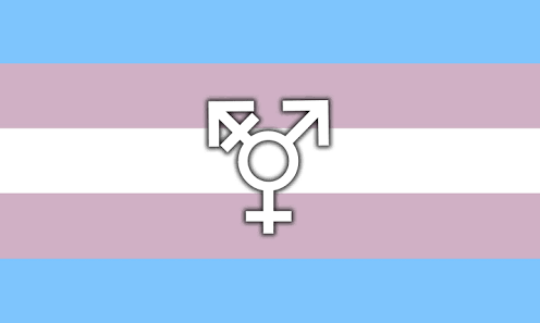31 de marzo: día de la visibilidad trans