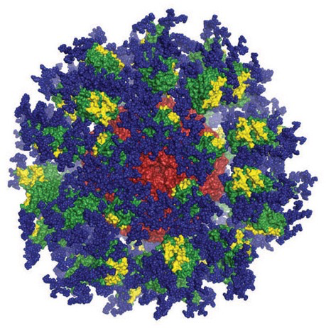 Una vacuna inédita contra el VIH obtiene resultados prometedores en un estudio de fase 1