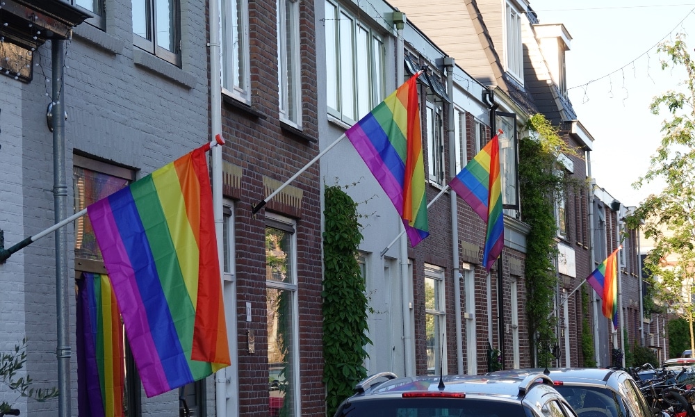 Un pueblo ondea cientos de banderas del Orgullo en señal de desafío después de que unos matones homófobos aterrorizaran al barrio