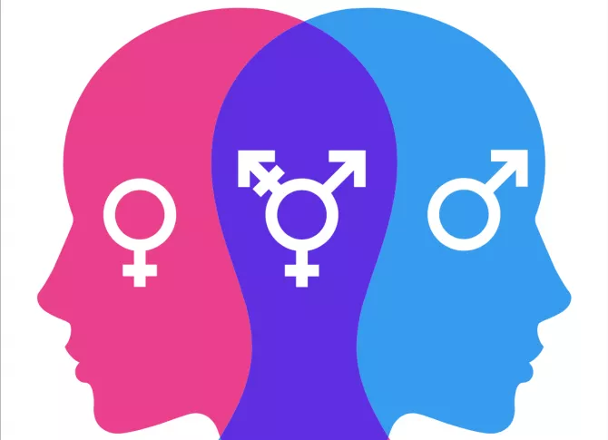 Illustration of minds with genders