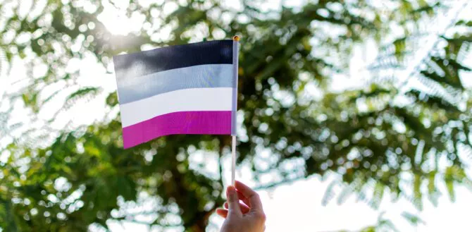 International asexual waving flag, people movement.