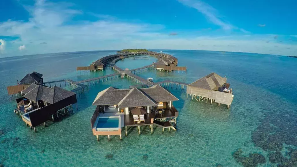 Maldivas: Los mejores arrecifes de coral