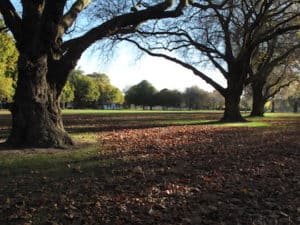 Emoción, comida y diversión en Nueva Zelanda