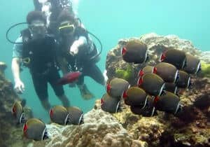 Koh Racha - Una escapada desde Phuket