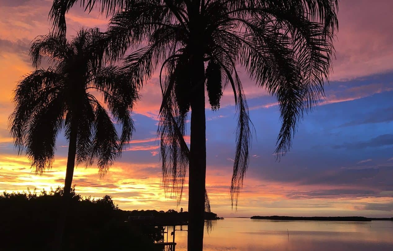 Una guía gay de Tampa