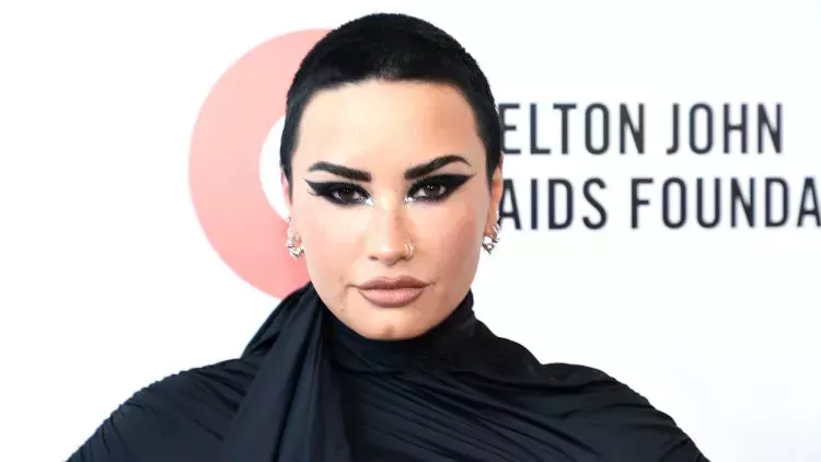 Demi Lovato updates pronouns in Instagram bio