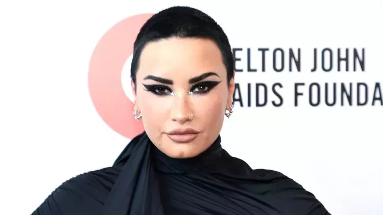 Demi Lovato Just Quietly Updated Their Pronouns on Instagram Demi Lovato updates pronouns in Instagram bio