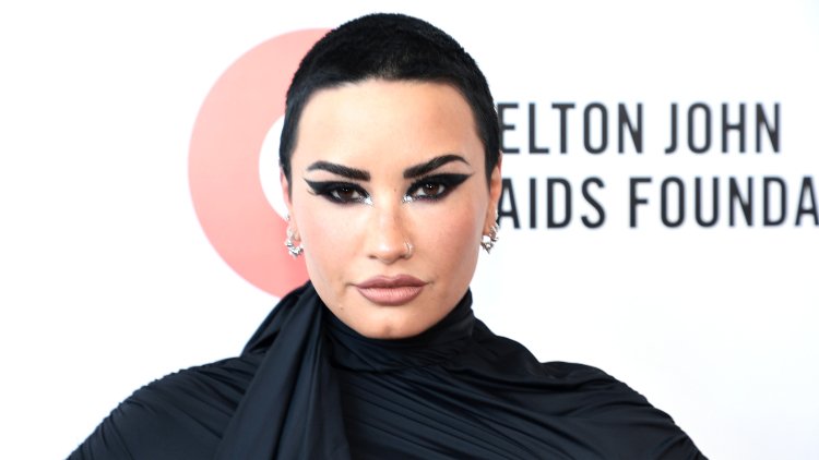 Demi Lovato acaba de actualizar silenciosamente sus pronombres en Instagram