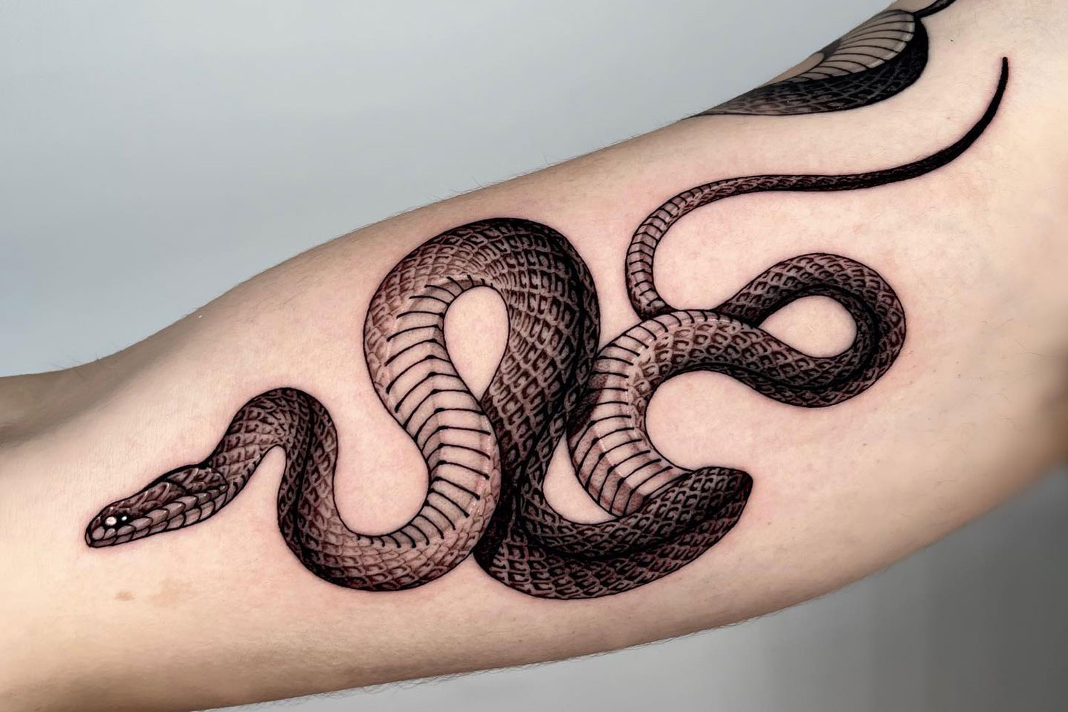 6. Watercolor Snake Forearm Tattoo - wide 5