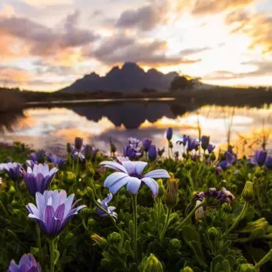 La lista de viajes de 2021