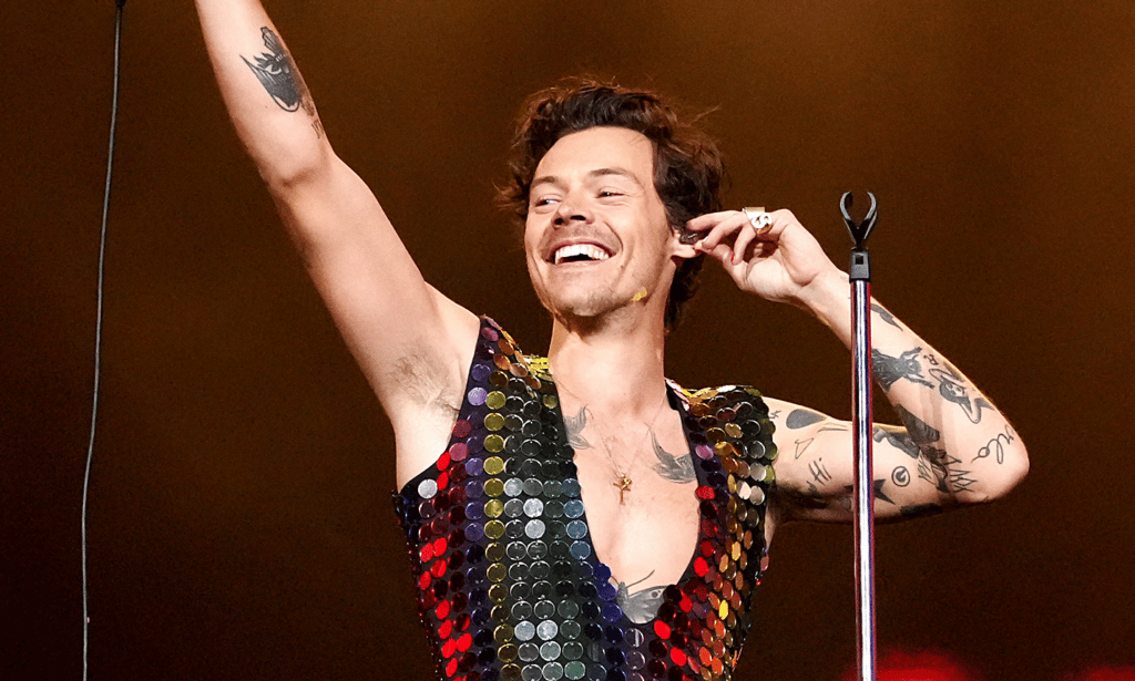 Harry Styles ayuda a un fan a salir del armario como gay durante el concierto de Wembley: 