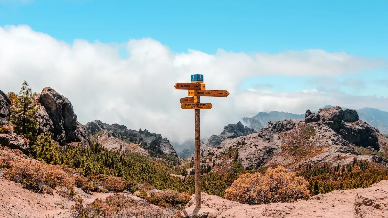 Bajo el Gaydar | Serie de verano: Dondequiera que sople el viento