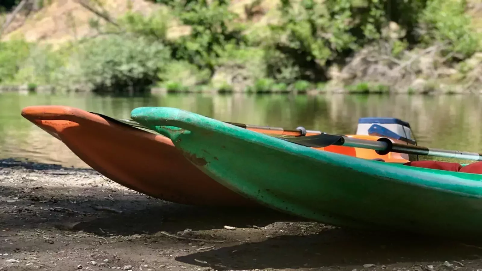 Bajo el Gaydar |<img loading=