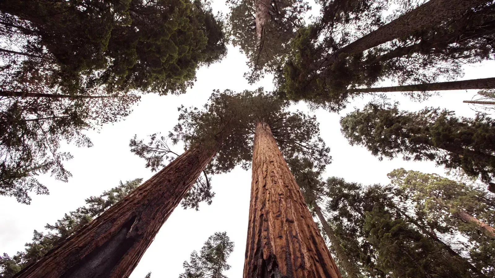 Bajo el Gaydar | Serie de verano: Yosemite