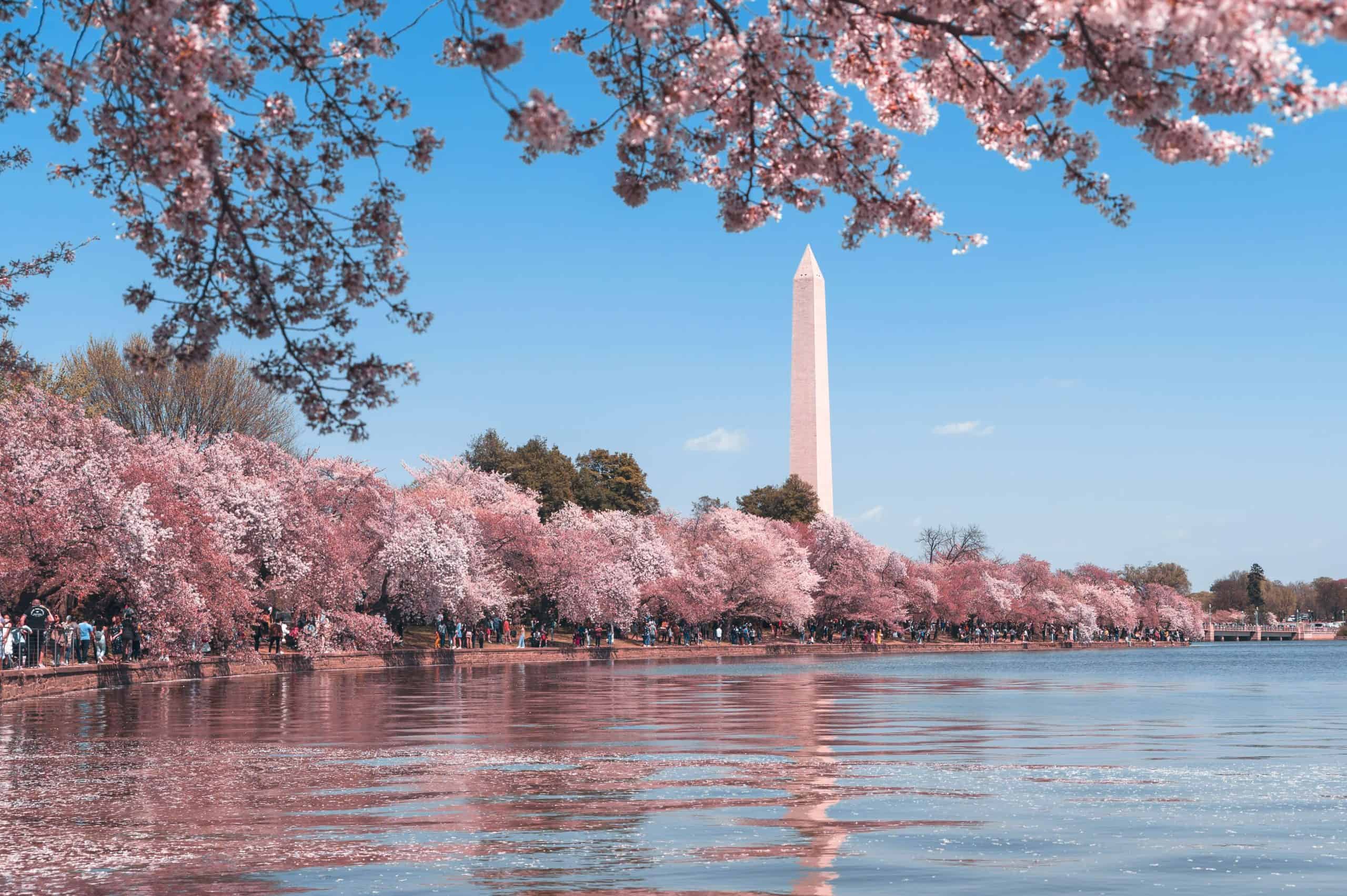 Los mejores TikToks de Washington DC: Cosas que hacer en Washington