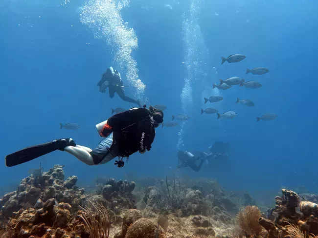 Sumérjase en el Golfo