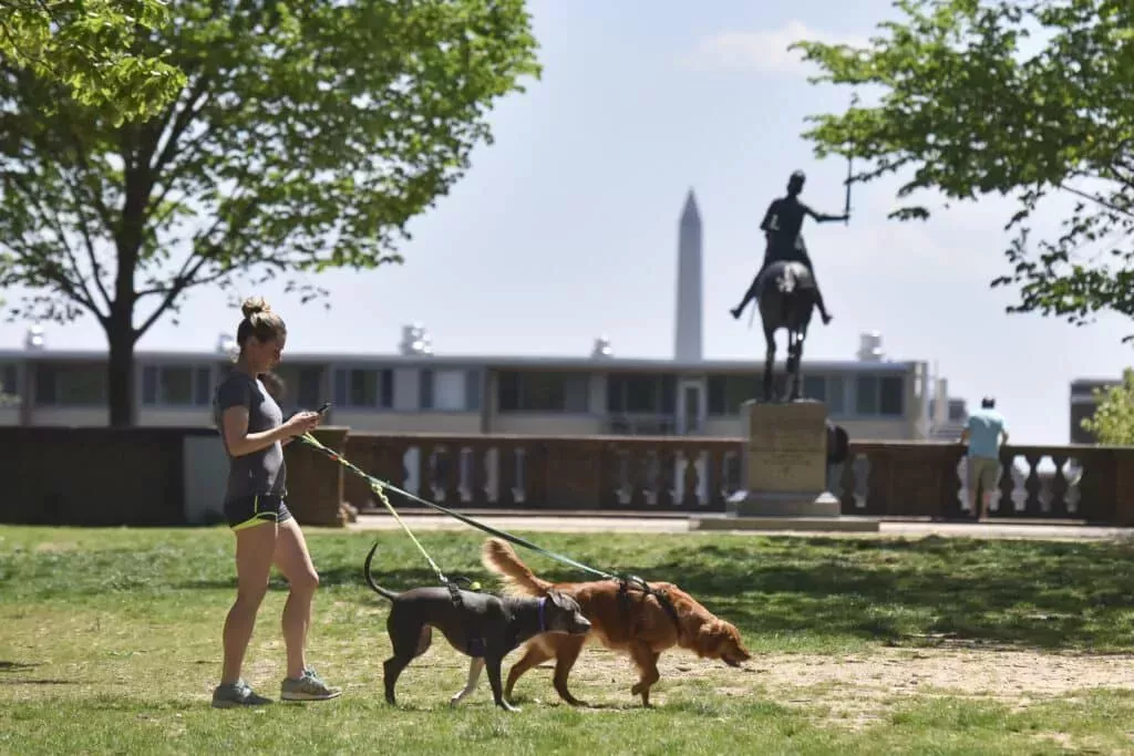 Un homófobo se hizo pasar por policía para agredir a los homosexuales en un popular