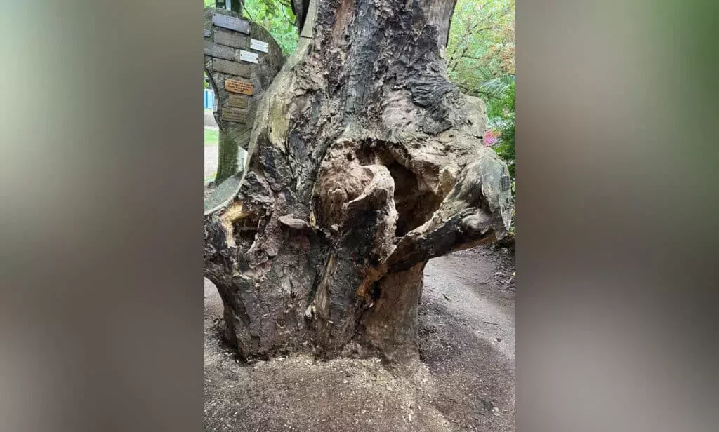 El monumento nacional a los transexuales del Reino Unido sufre 