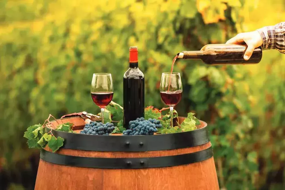 Trotamundos de Burdeos y más allá | Revista PASSPORT