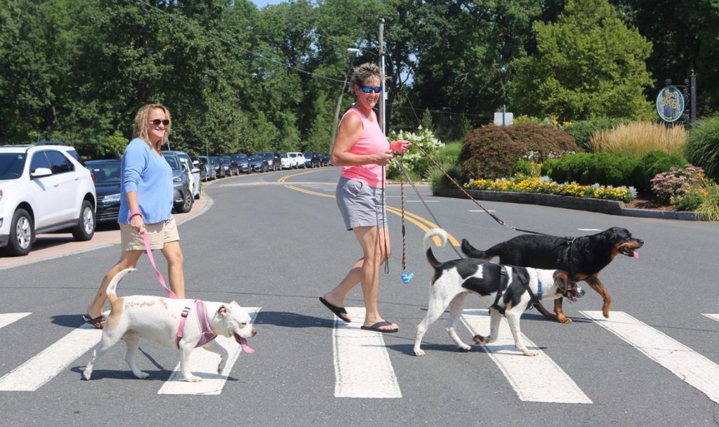 Mira como esta pareja se conoció gracias a sus mascotas
