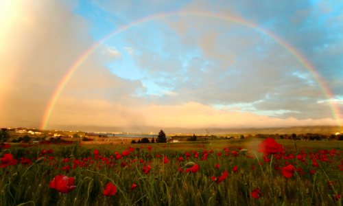 La influencia del arco iris y la generación Z