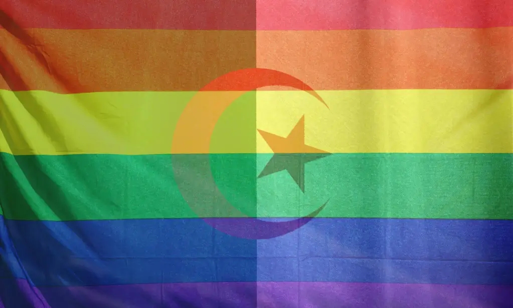Argelia lanza una campaña contra las banderas del Orgullo LGTB+