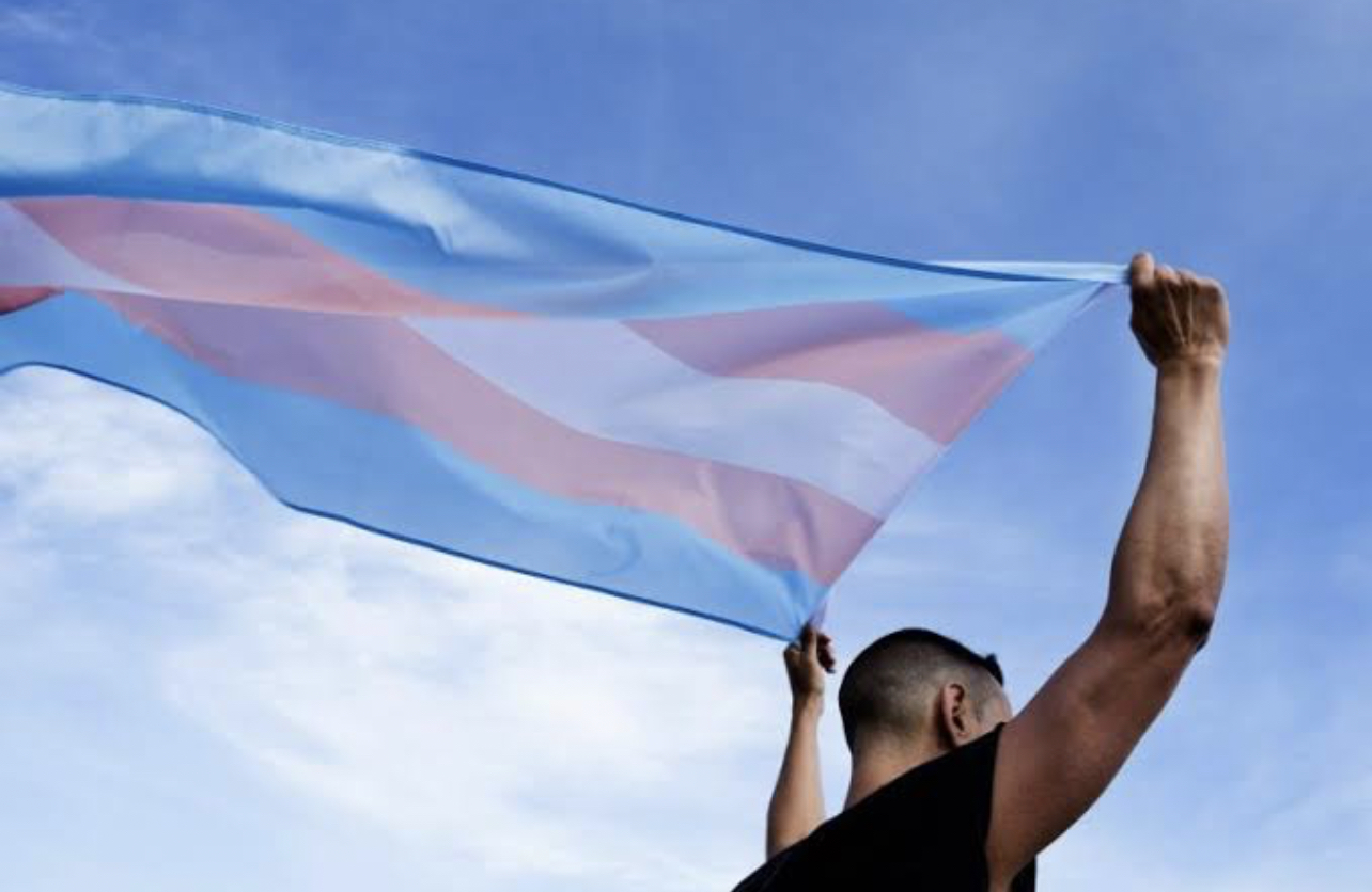 Enero podría convertirse en el mes de la visibilidad trans en Brasil