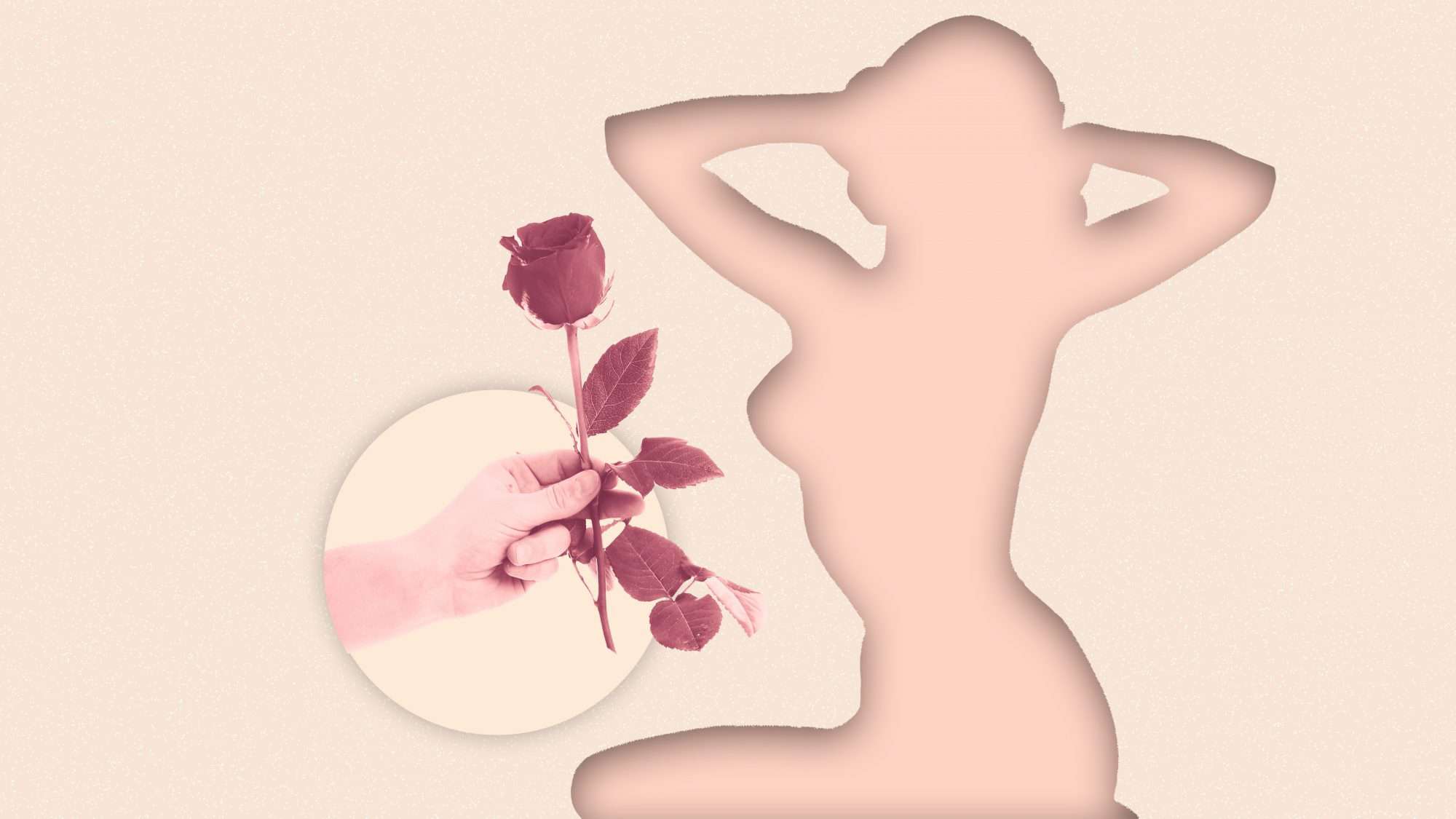 Qué es la ginesexualidad