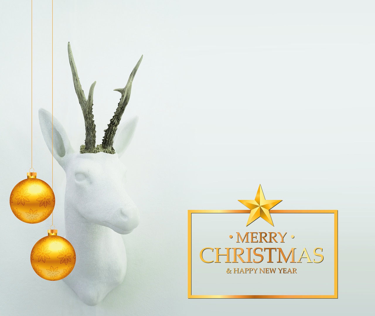 ¿Por qué se les dice joto?