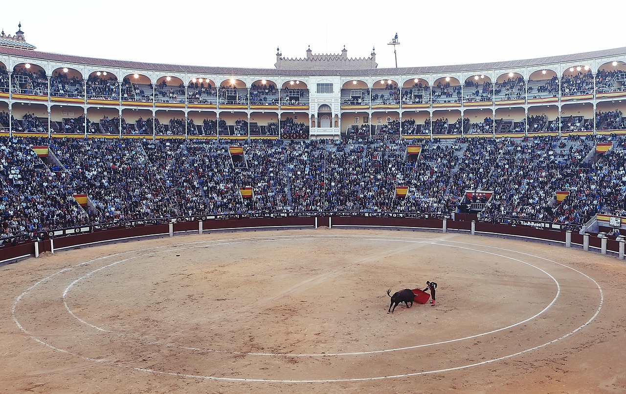 ¿Qué pasa si un toro mata a un torero?
