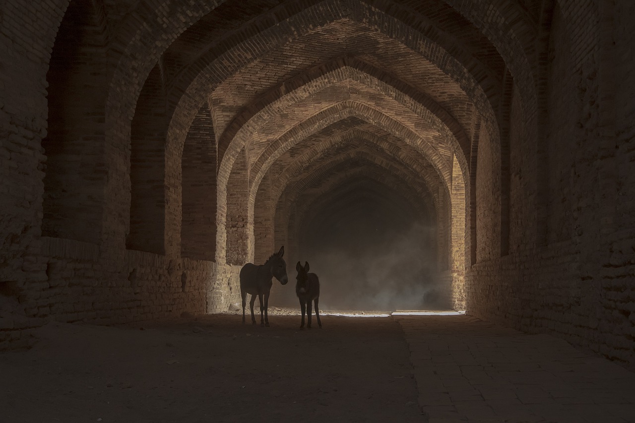 ¿Qué es mover la burra en Argentina?