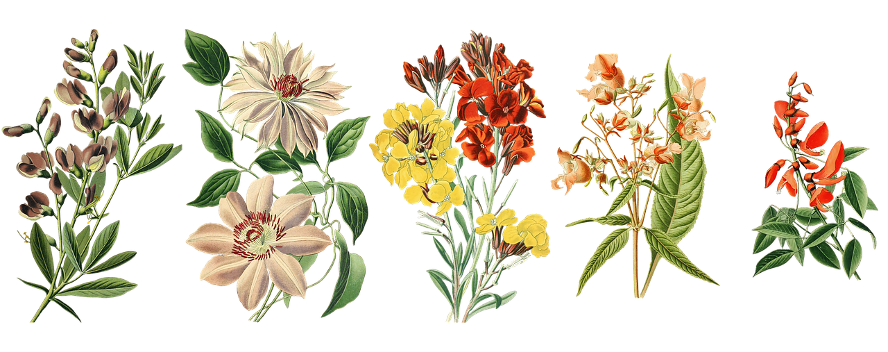 ¿Qué género es Índigo el hijo de Evaluna? ¿Qué género es Índigo el hijo de Evaluna?