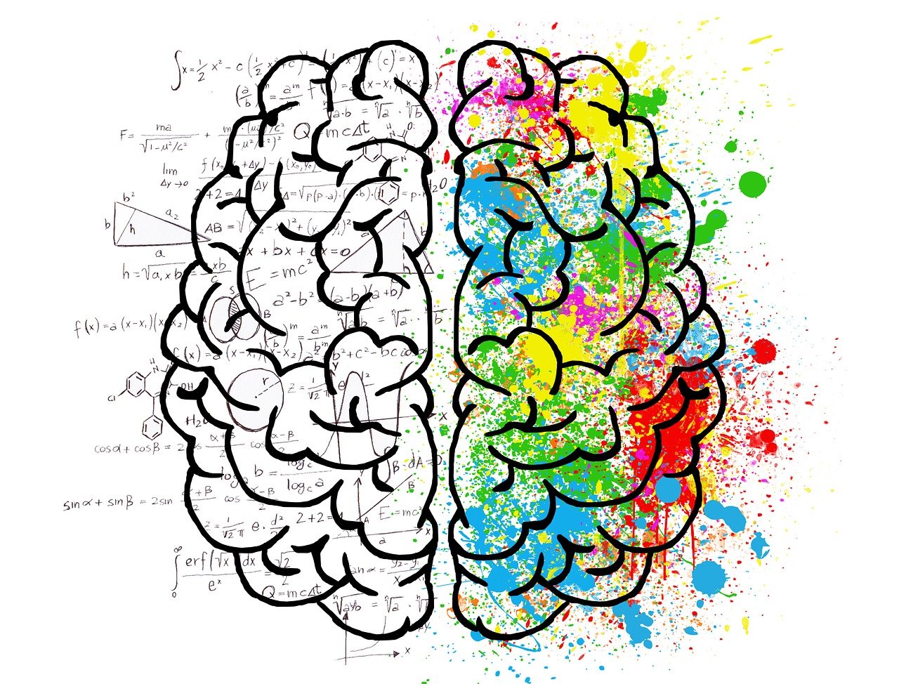 ¿Cómo funciona el cerebro de un hombre y una mujer?