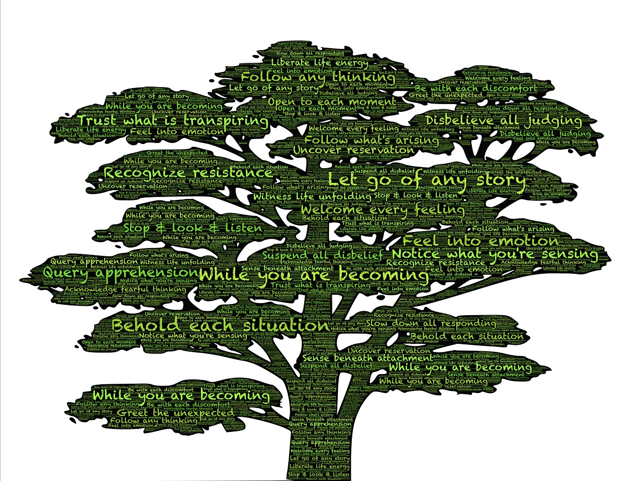 ¿Cómo se le dice a una persona que no se enamora?