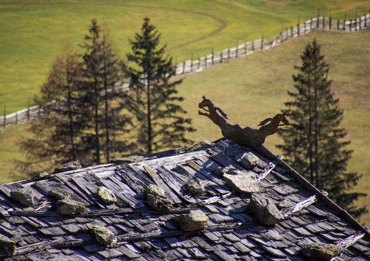 ¿Dónde puede salir la culebrilla?