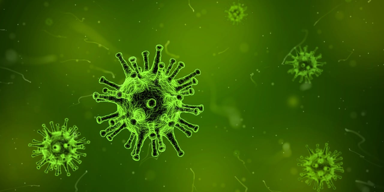 ¿Dónde se multiplican los virus?