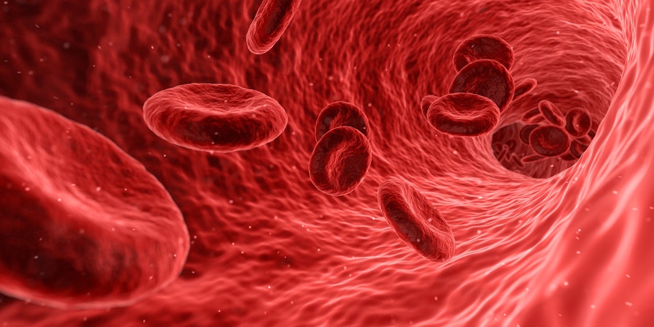 ¿Qué Examen de sangre detecta infecciones?