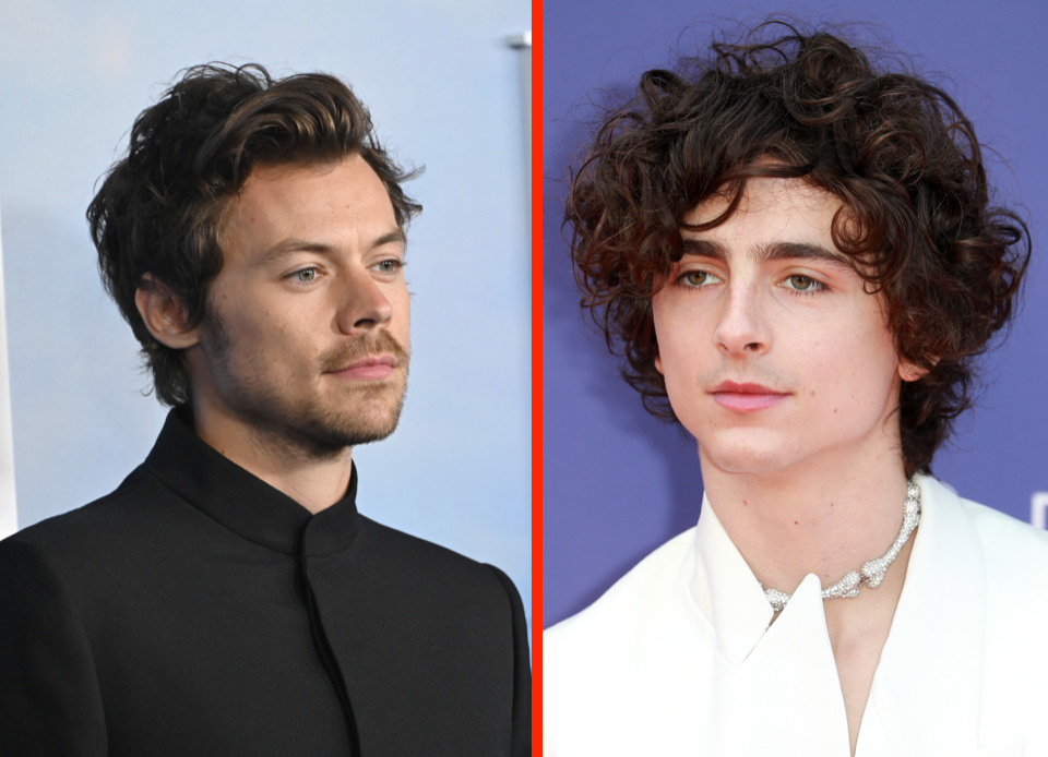 Esto es un romance entre Timothée Chalamet y Harry Styles escrito por la IA