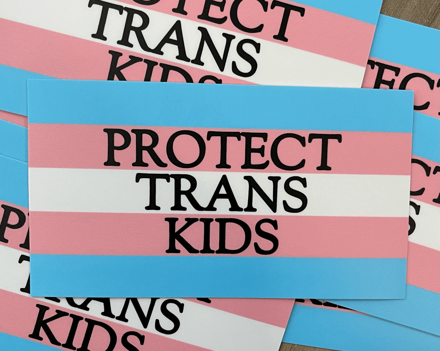 Esta ley obligaría a los colegios a expulsar a los alumnos transexuales