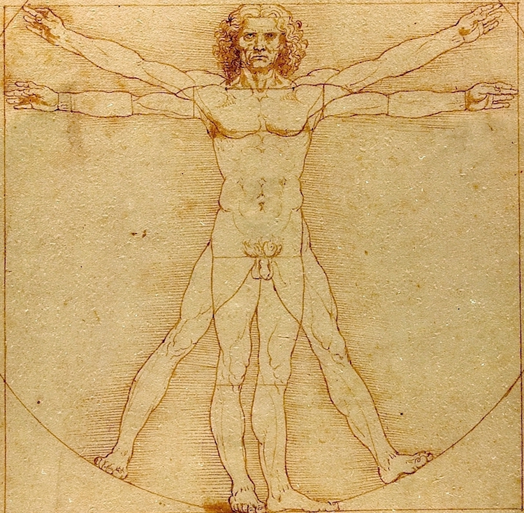 La historia de Leonardo Da Vinci, un hombre gay